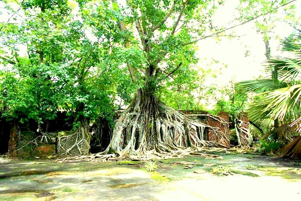 Port Blair – Boat transfer to North Island & Ross Island – Overnight stay at Port Blair